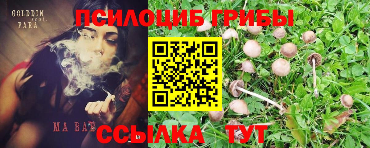 Кандалакша  Галлюциногенные грибы GOLDEN TEACHER  Псилоцибиновые грибы MAGIC MUSHROOMS  Вход с VPN 