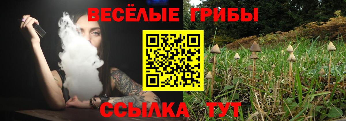Псилоцибиновые грибы ЛСД Кандалакша